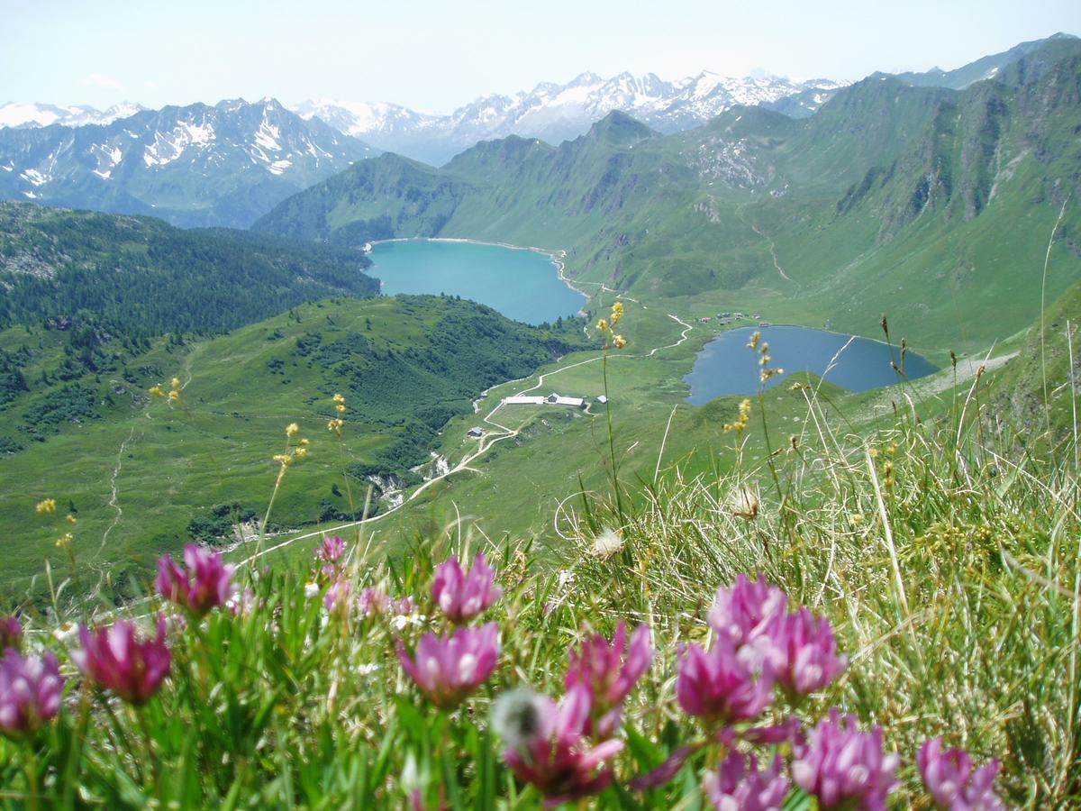 B&B Gottardo Айроло Екстер'єр фото