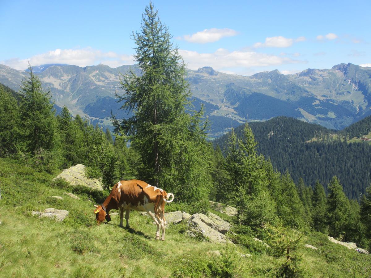 B&B Gottardo Айроло Екстер'єр фото