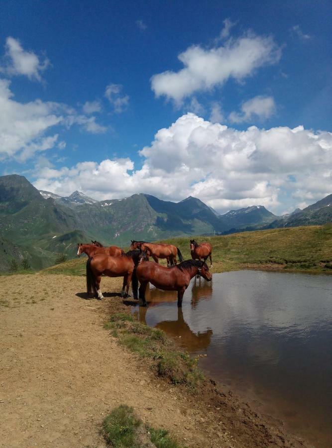 B&B Gottardo Айроло Екстер'єр фото