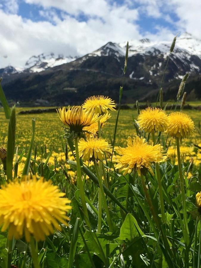 B&B Gottardo Айроло Екстер'єр фото